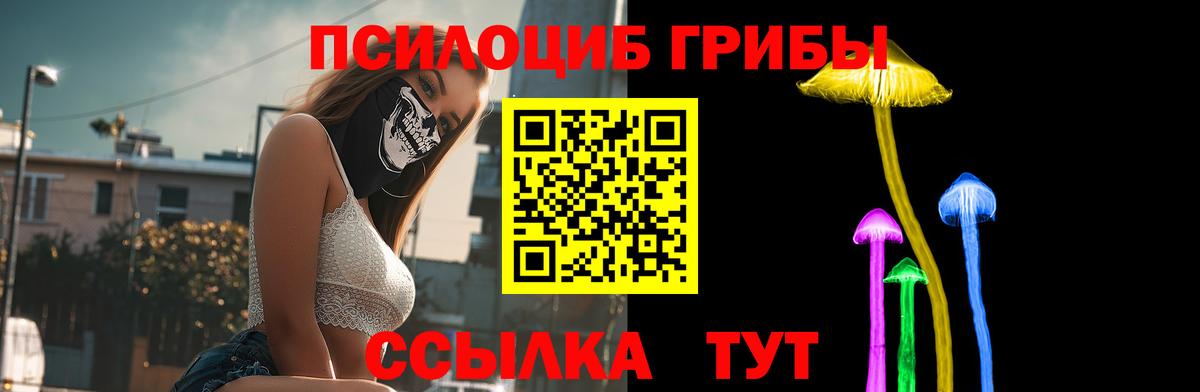 Котлас  Галлюциногенные грибы мицелий  Вход с VPN 